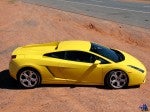 Exotics in the Outback 2005: exotics-in-the-outback-2005-(135) Exotics in the Outback 2005: exotics-in-the-outback-2005-(135)
