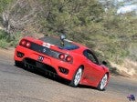 Exotic Exotics in the Outback 2005: exotics-in-the-outback-2005-(165) Exotic Exotics in the Outback 2005: exotics-in-the-outback-2005-(165)