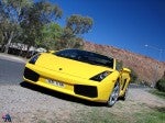 Exotic Exotics in the Outback 2005: exotics-in-the-outback-2005-(9) Exotic Exotics in the Outback 2005: exotics-in-the-outback-2005-(9)