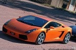 X Exotics in the Outback 2006: exotics-in-the-outback-(31) X Exotics in the Outback 2006: exotics-in-the-outback-(31)