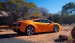 Exotics in the Outback 2006: finny-alice068 Exotics in the Outback 2006: finny-alice068