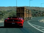 As Exotics in the Outback 2005: 650 Cam-Chasingspider2 As Exotics in the Outback 2005: 650 Cam-Chasingspider2