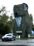 Supercar Audi R8 - Supercar Club - Melb-Adel Sep09: Audi R8 - Giant Koala Supercar Audi R8 - Supercar Club - Melb-Adel Sep09: Audi R8 - Giant Koala