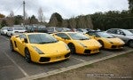 For Lamborghinis in Daylesford (26 June 09): Lamborghini Gallardos - front front (Daylesford, Vic, 26 Jun 09) For Lamborghinis in Daylesford (26 June 09): Lamborghini Gallardos - front front (Daylesford, Vic, 26 Jun 09)