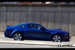 Mustang Exotic Spotting in Sydney: Ford Mustang GT/CS Mustang Exotic Spotting in Sydney: Ford Mustang GT/CS