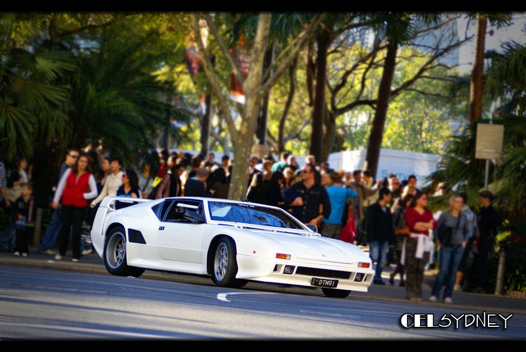 pantera wallpaper. De Tomaso Pantera SI wallpaper