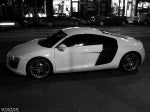 Audi Spottings: Audi R8 Side Audi Spottings: Audi R8 Side