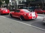 Gt500 Spotted: Shelby GT500 Gt500 Spotted: Shelby GT500