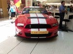 Shelby Car Shows: Shelby Mustang Shelby Car Shows: Shelby Mustang